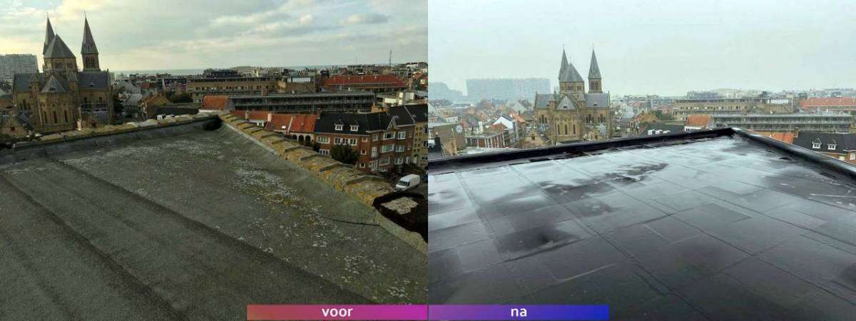 Residentie In Oostende